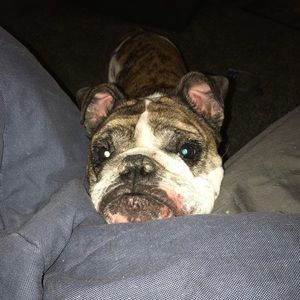 Meet your Posher, Heidi